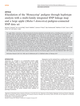 Pedigree Through Haplotype Analysis with a Multi-Family Integrated SNP Linkage Map and a Large Apple (Malus × Domestica) Pedigree-Connected SNP Data Set