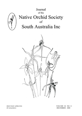 Native Orchid Society South Australia