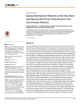 Spatial Distribution Patterns in the Very Rare and Species-Rich Picea Chihuahuana Tree Community (Mexico)