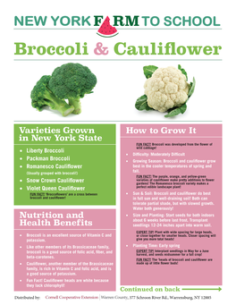 Broccoli & Cauliflower