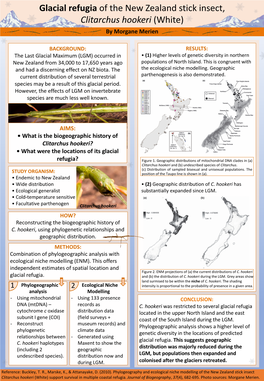 Insect Biogeography Poster