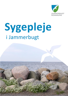 Sygepleje I Sygeplejeklinik