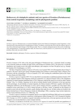 (Portulacaceae) from Central Argentina: Morphology and Its Phylogenetic Position