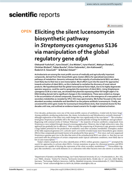 Eliciting the Silent Lucensomycin Biosynthetic Pathway In