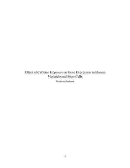 Effect of Caffeine Exposure on Gene Expression in Human Mesenchymal Stem Cells Madison Pedreira