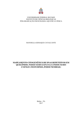 Mapeamento Citogenético De Dnas Repetitivos Em Quelônios: Podocnemis Expansa E Podocnemis Unifilis (Testudines, Podocnemidae)