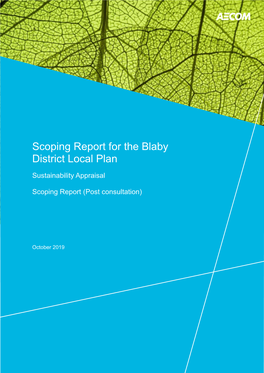 Scoping Report for Blaby District Local Plan