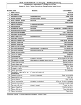 Plants of Vallecito Creek, E of Durango