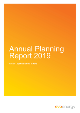 Annual Planning Report 2019