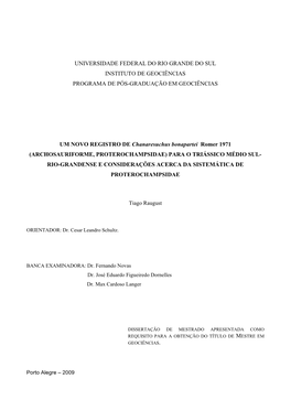 Universidade Federal Do Rio Grande Do Sul Instituto De Geociências Programa De Pós-Graduação Em Geociências