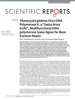 Multifunctional DNA Polymerase-Lyase-Ligase For