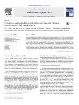 Cellular Iron Uptake, Trafficking and Metabolism