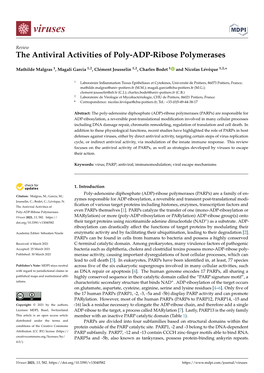 The Antiviral Activities of Poly-ADP-Ribose Polymerases