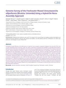 Genome Survey of the Freshwater Mussel Venustaconcha Ellipsiformis (Bivalvia: Unionida) Using a Hybrid De Novo Assembly Approach