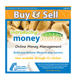 Introducing Money Online Money Management Build Your Fortune