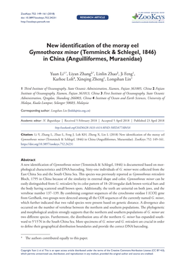 New Identification of the Moray Eel Gymnothorax Minor (Temminck & Schlegel, 1846) in China (Anguilliformes, Muraenidae)