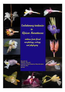 Floral Morphology, Phylogeny