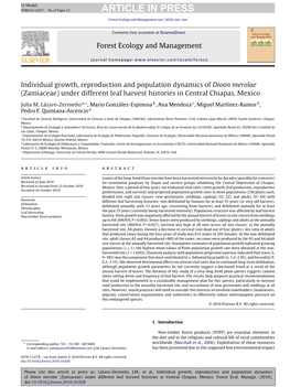 Individual Growth, Reproduction and Population Dynamics of Dioon Merolae (Zamiaceae) Under Different Leaf Harvest Histories in Central Chiapas, Mexico