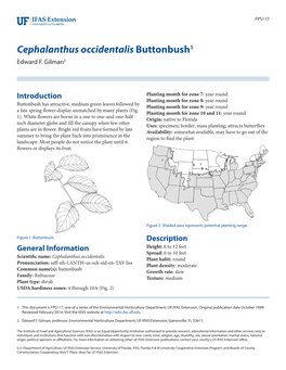 Cephalanthus Occidentalis Buttonbush1 Edward F