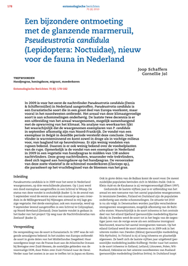 Een Bijzondere Ontmoeting Met De Glanzende Marmeruil, Pseudeustrotia Candidula (Lepidoptera: Noctuidae), Nieuw Voor De Fauna in Nederland