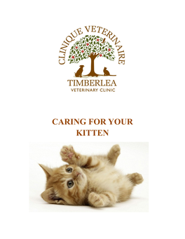 CARING for YOUR KITTEN Table of Contents