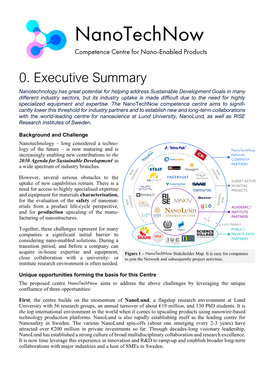 0. Executive Summary