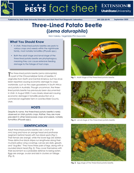 Three-Lined Potato Beetle (Lema Daturaphila) Nick Volesky, Vegetable IPM Associate