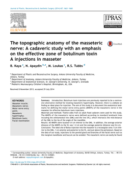 The Topographic Anatomy of the Masseteric Nerve: a Cadaveric Study with an Emphasis on the Effective Zone of Botulinum Toxin a Injections in Masseter B