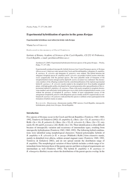 Experimental Hybridization of Species in the Genus Rorippa