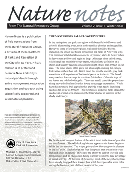 Volume 2, Issue 1 Winter 2008