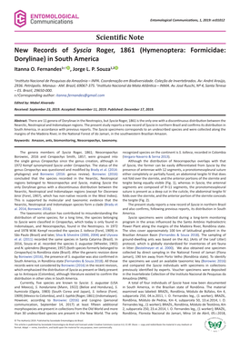 Hymenoptera: Formicidae: Dorylinae) in South America Itanna O