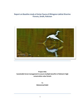 Report on Baseline Study of Avian Fauna of Dhingano-Lakhat Riverine Forests, Sindh, Pakistan