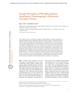 Design Principles of Phosphorylation-Dependent Timekeeping in Eukaryotic Circadian Clocks