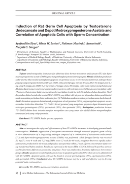 Induction of Rat Germ Cell Apoptosis by Testosterone Undecanoate and Depot Medroxyprogesterone Acetate and Correlation of Apoptotic Cells with Sperm Concentration