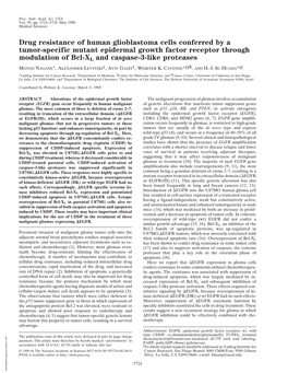 Drug Resistance of Human Glioblastoma Cells Conferred by A