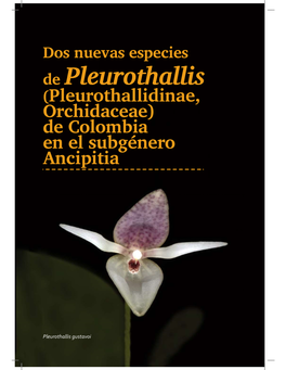 De Pleurothallis (Pleurothallidinae, Orchidaceae) De Colombia En El Subgénero Ancipitia