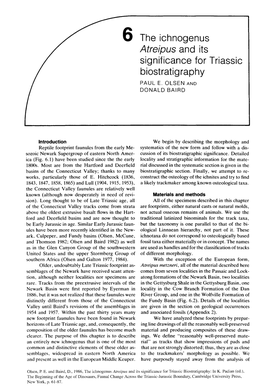 6 the Ichnogenus Atreipus and Its Significance for Triassic Biostratig Raphy