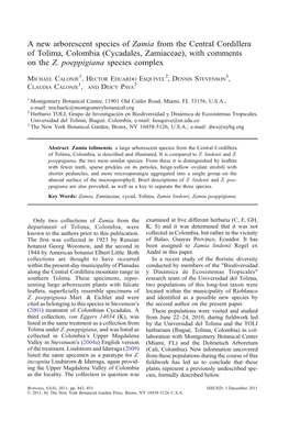 A New Arborescent Species of Zamia from the Central Cordillera of Tolima, Colombia (Cycadales, Zamiaceae), with Comments on the Z