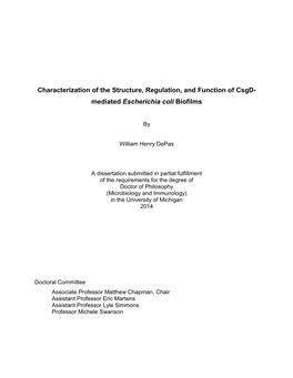 Characterization of the Structure, Regulation, and Function of Csgd- Mediated Escherichia Coli Biofilms