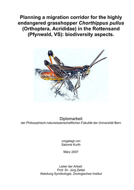 Orthoptera, Acrididae) in the Rottensand (Pfynwald, VS): Biodiversity Aspects