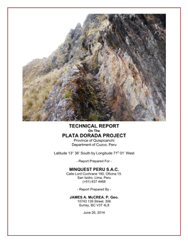 Technical Report Plata Dorada Project