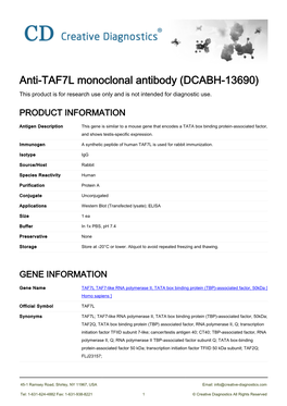 Anti-TAF7L Monoclonal Antibody (DCABH-13690) This Product Is for Research Use Only and Is Not Intended for Diagnostic Use