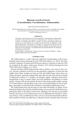 Blossom Weevils of Israel (Curculionidae: Curculioninae: Anthonomini)