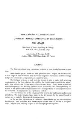 Isoptera : Macrotermitinae) in the Tropics