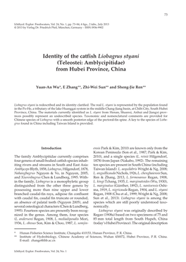 Identity of the Catfish Liobagrus Styani (Teleostei: Amblycipitidae) from Hubei Province, China