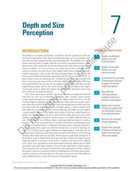 Depth and Size Perception 7