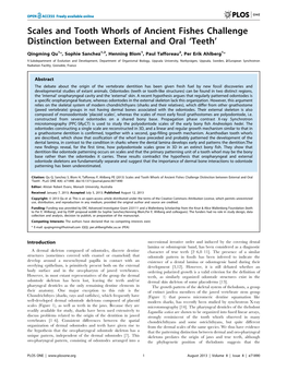 Scales and Tooth Whorls of Ancient Fishes Challenge Distinction Between External and Oral ‘Teeth’