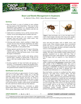 Bean Leaf Beetle Management in Soybeans by Marlin E