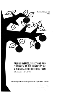 PRUNUS HYBRIDS, SELECTIONS and CULTIVARS,, Al.THE UNIVERSITY of MINNESOTA FRUIT BREEDING FARM E