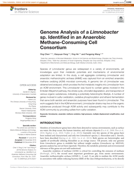 Genome Analysis of a Limnobacter Sp. Identified in an Anaerobic